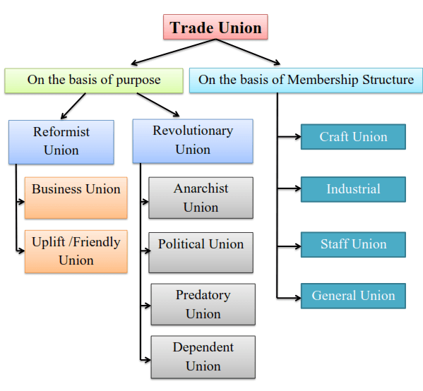 Structure of Trade Union